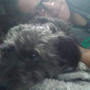 Meet your Posher, Beverly